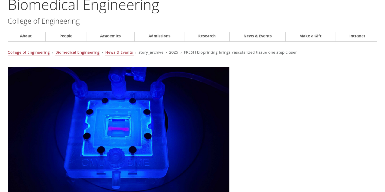 FRESH Bioprinting Brings Vascularized Tissue One Step Closer