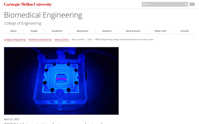 FRESH Bioprinting Brings Vascularized Tissue One Step Closer