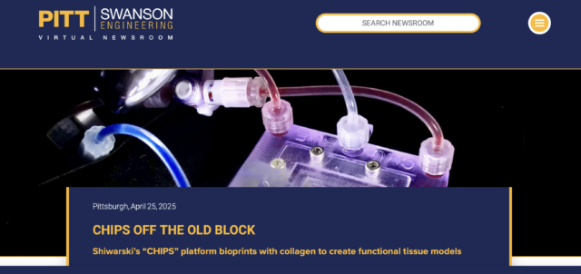 CHIPS Off The Old Block