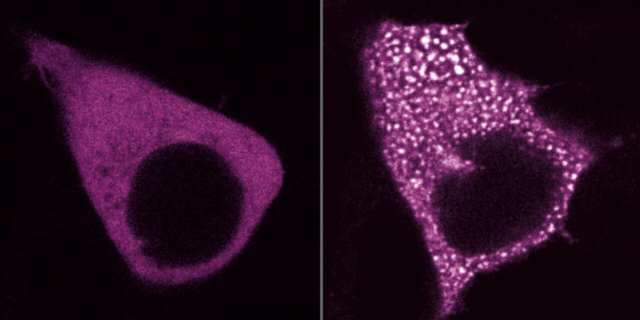 Drop in the Cellular Bucket