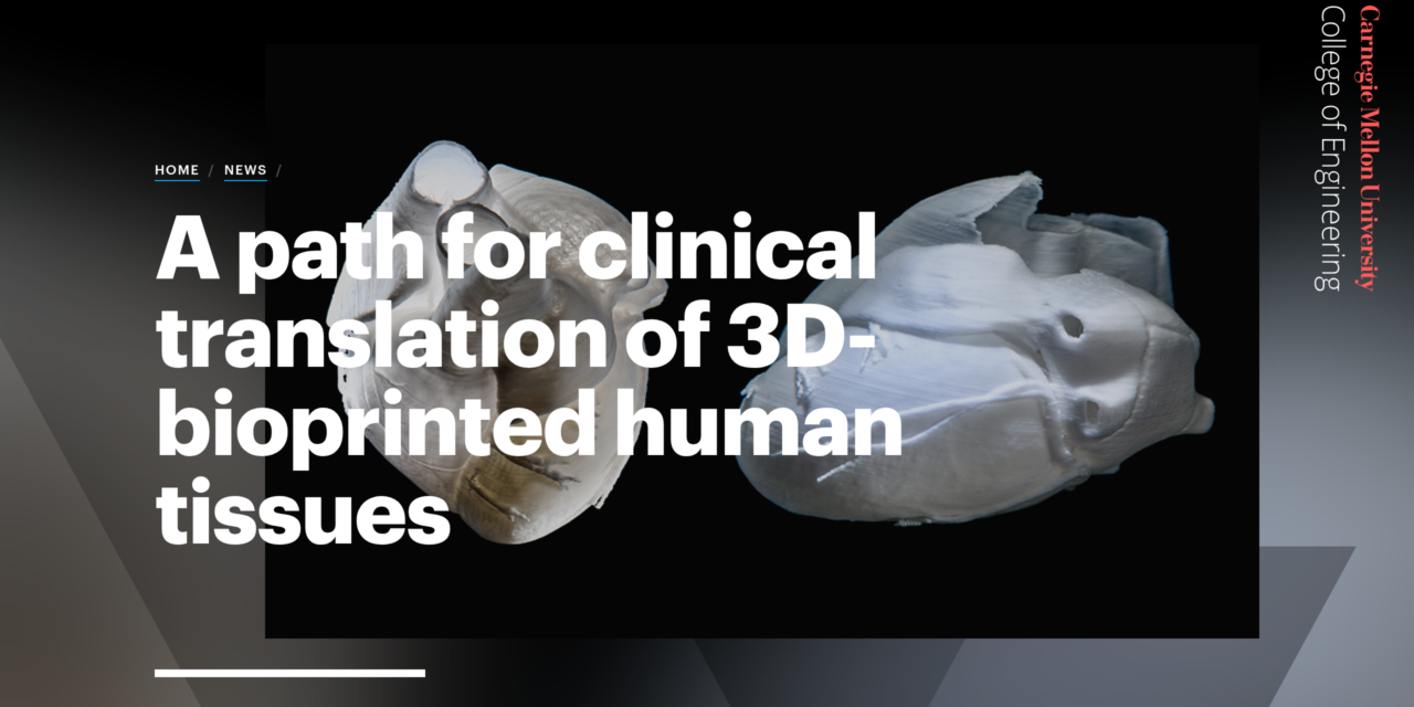 A Path for Clinical Translation of 3D-bioprinted Human Tissues