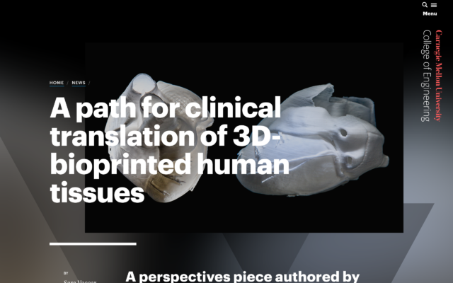 A Path for Clinical Translation of 3D-bioprinted Human Tissues
