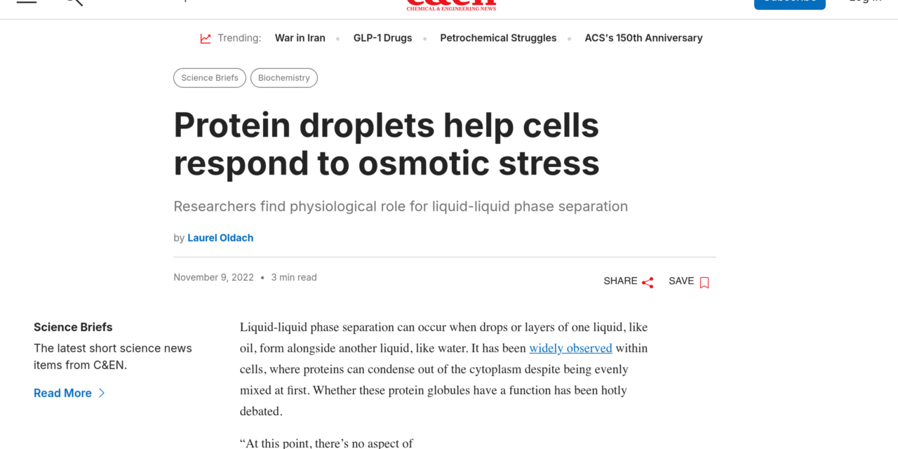 Protein Droplets Help Cells Respond to Osmotic Stress