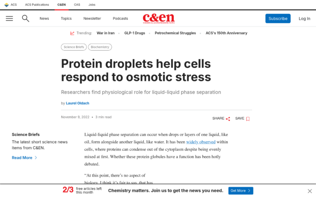 Protein Droplets Help Cells Respond to Osmotic Stress