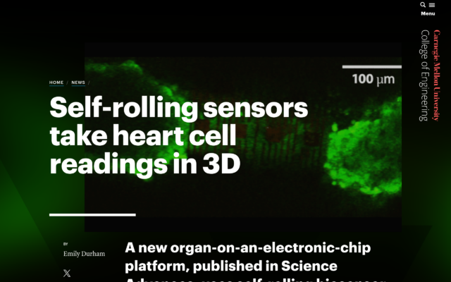 Self-rolling Sensors Take Heart Cell Readings in 3D
