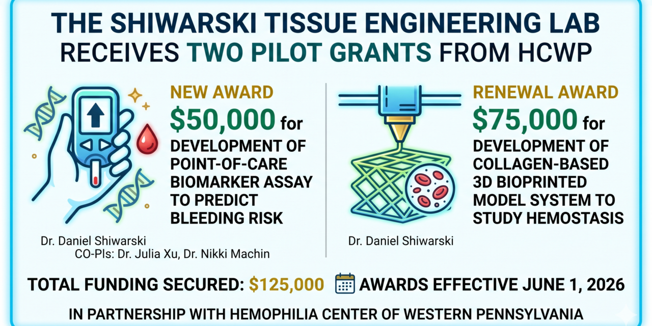 Shiwarski Lab Awarded Two HCWP Pilot Grants to Advance Bleeding and Clotting Disorder Research