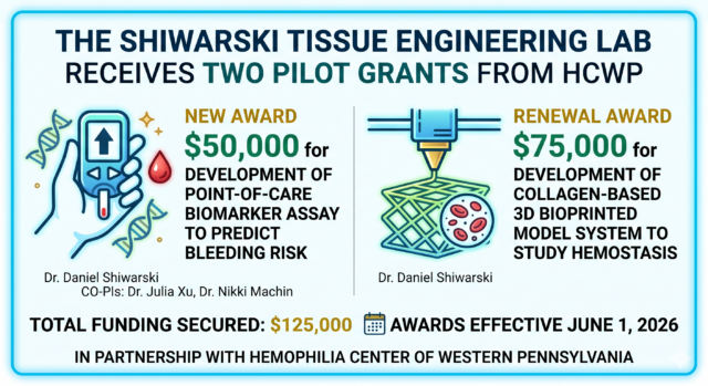 Shiwarski Lab Awarded Two HCWP Pilot Grants to Advance Bleeding and Clotting Disorder Research